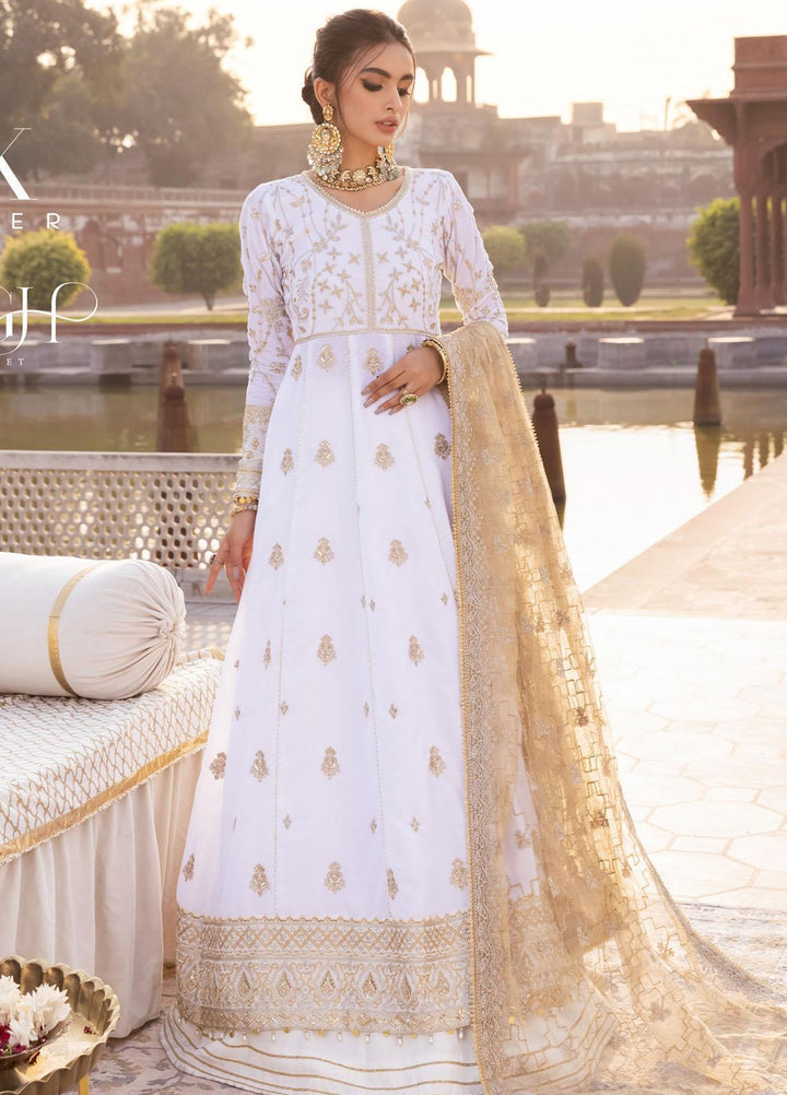 Baagh By AIK Atelier Embroidered Velvet Suits Unstitched 3 Piece AIK22B Look 6 - Winter Collection