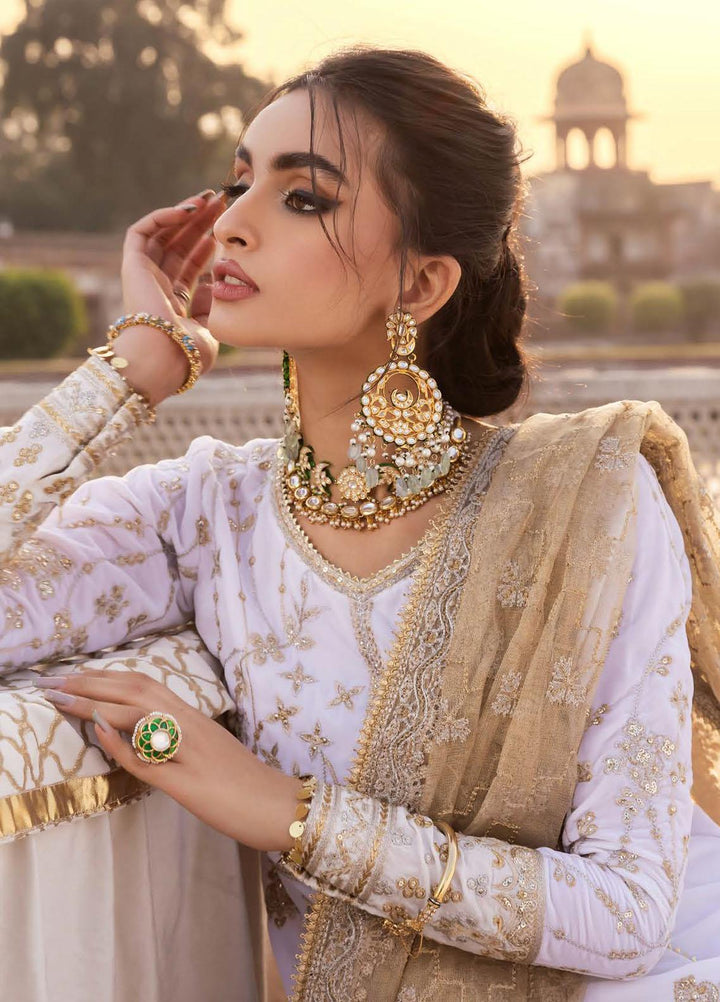 Baagh By AIK Atelier Embroidered Velvet Suits Unstitched 3 Piece AIK22B Look 6 - Winter Collection