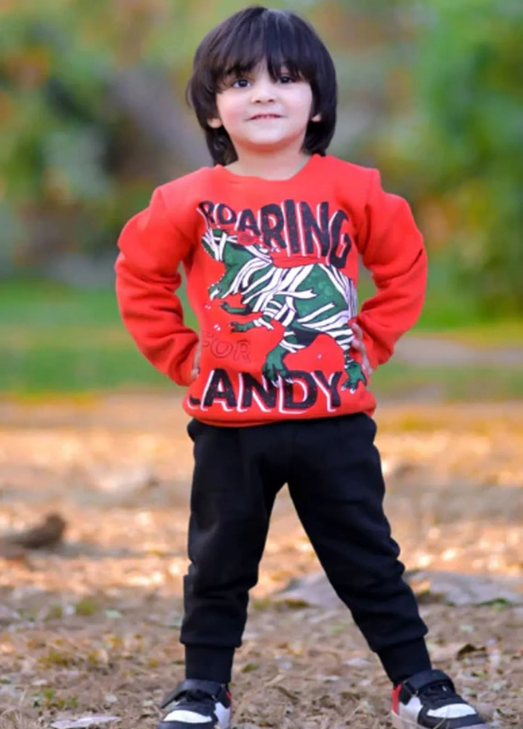 Baby Nest Dino Roaring For Candy Graphic Sweatshirt For Kids-1302