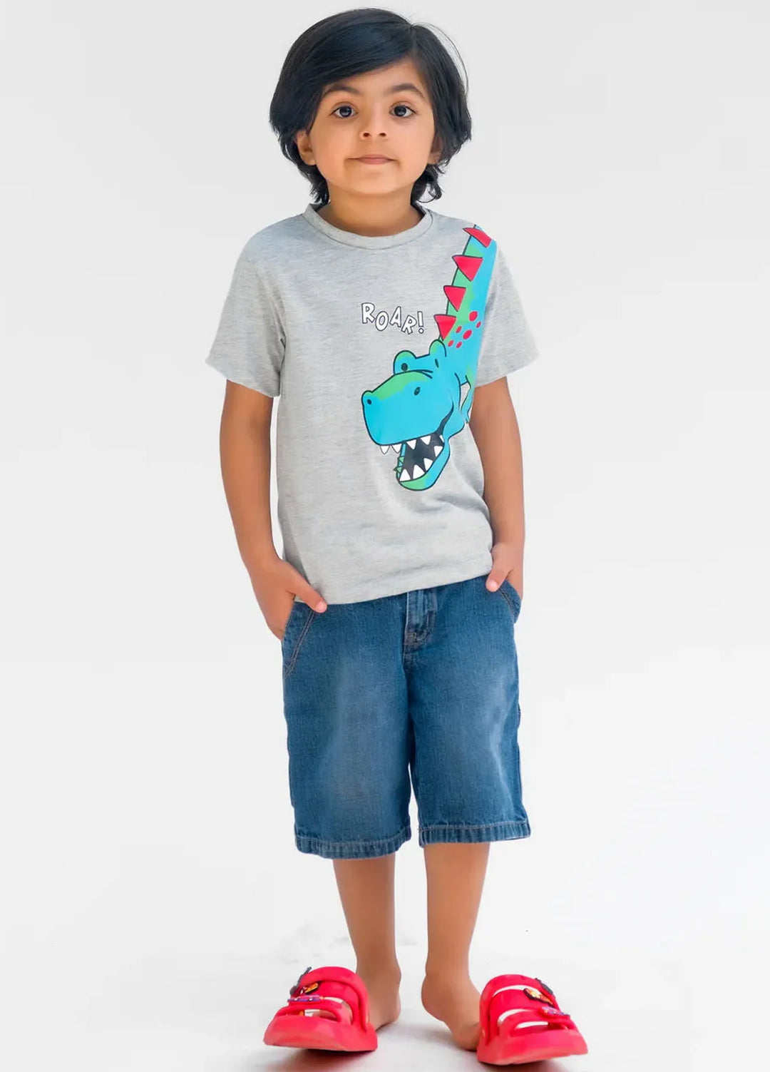 Baby Nest Kids T Shirt Roar Dino Grey