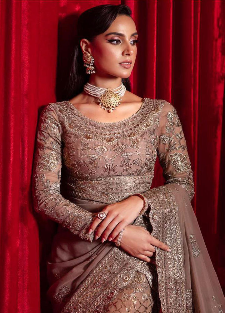 Bekhudi By Asim Jofa Embroidered Chiffon  Unstitched Saree AJ23B AJBK-10 - Luxury Collection