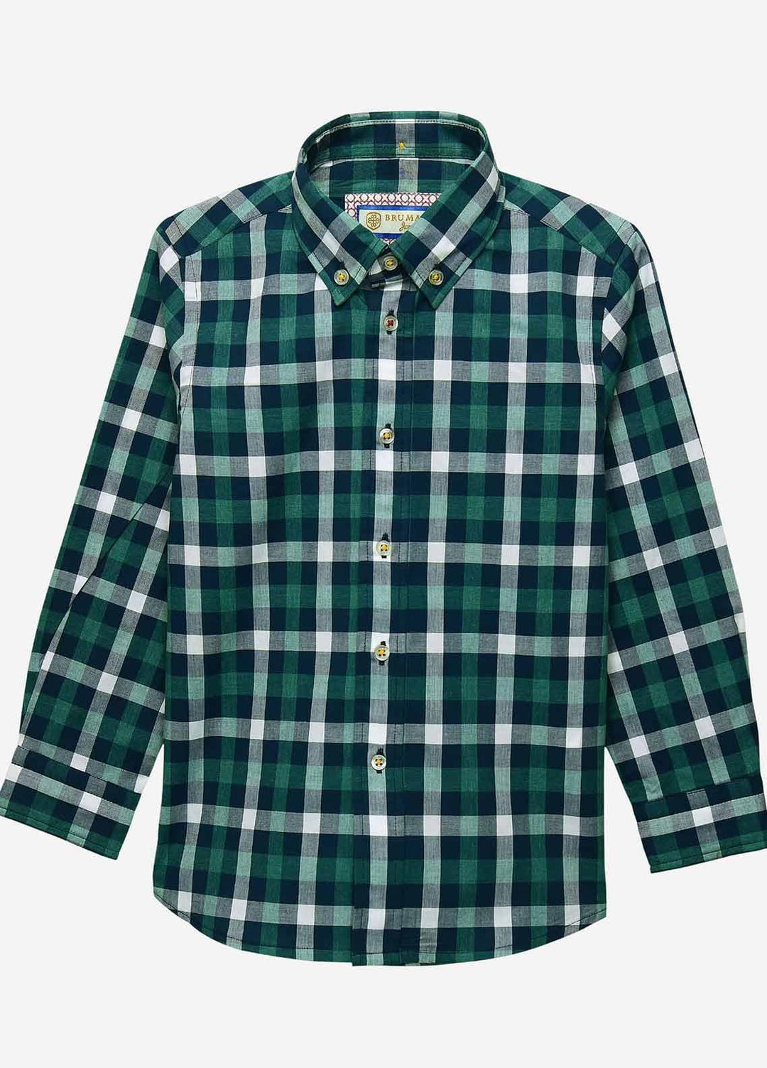 Brumano Cotton Casual Boys Shirts - BM20JS Green & Blue Casual Check Shirt-Junior