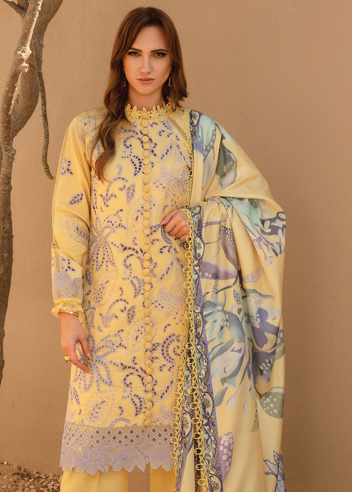 Carnation By Rang Rasiya Embroidered Lawn Suits Unstitched 3 Piece RR24C D-06 - Summer Collection