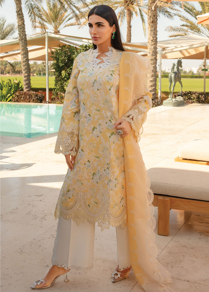 Carnation By Rang Rasiya Embroidered Lawn Suits Unstitched 3 Piece RR24C D-08 - Summer Collection