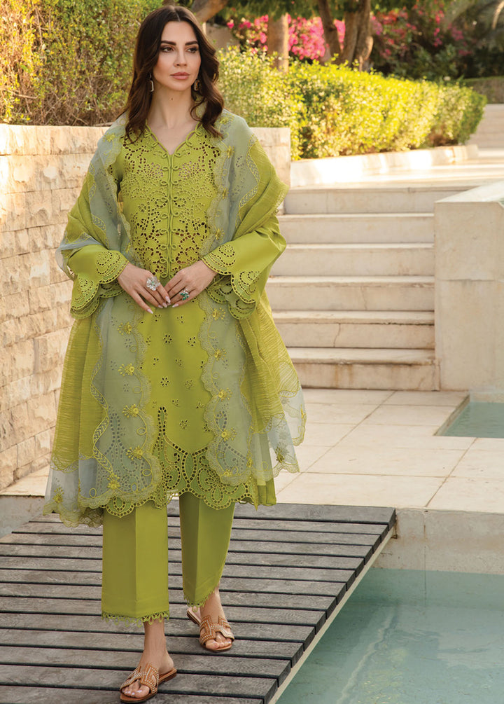 Carnation By Rang Rasiya Embroidered Lawn Suits Unstitched 3 Piece RR24C D-13 - Summer Collection