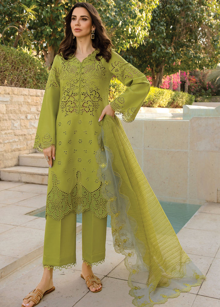 Carnation By Rang Rasiya Embroidered Lawn Suits Unstitched 3 Piece RR24C D-13 - Summer Collection