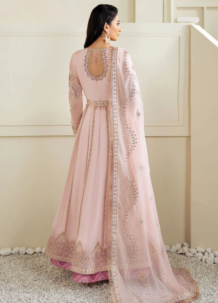 Celine by Alizeh Fashion Embroidered Chiffon Suit Unstitched 3 Piece AFB25C D-06 Izna - Formals Collection