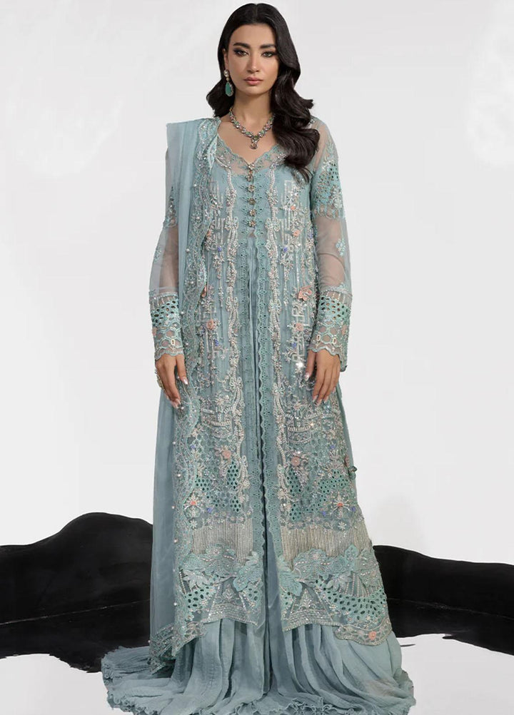 Chatoyer By Rang Rasiya Embroidered Net Suits Unstitched 4 Piece RR23CH D-03 Isabel - Wedding Collection