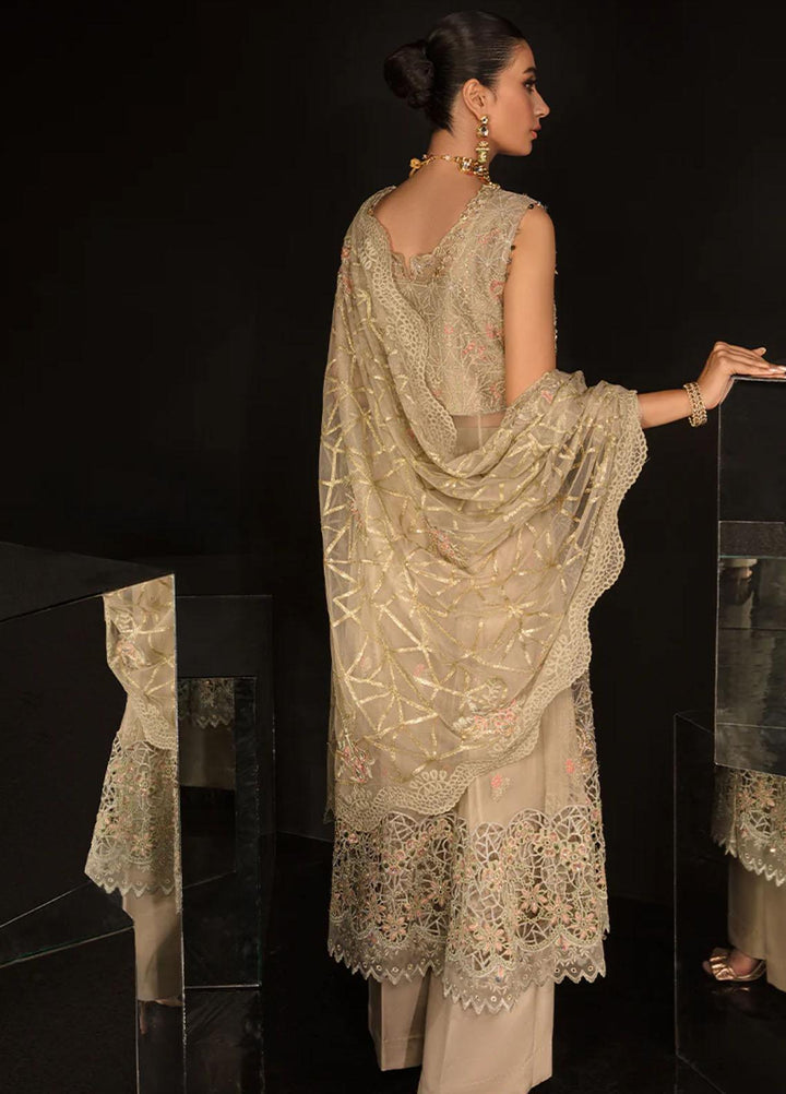 Chatoyer By Rang Rasiya Embroidered Net Suits Unstitched 4 Piece RR23CH D-04 Ana - Wedding Collection