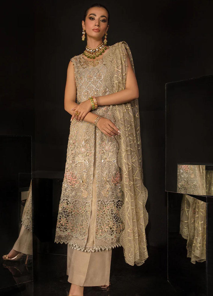 Chatoyer By Rang Rasiya Embroidered Net Suits Unstitched 4 Piece RR23CH D-04 Ana - Wedding Collection