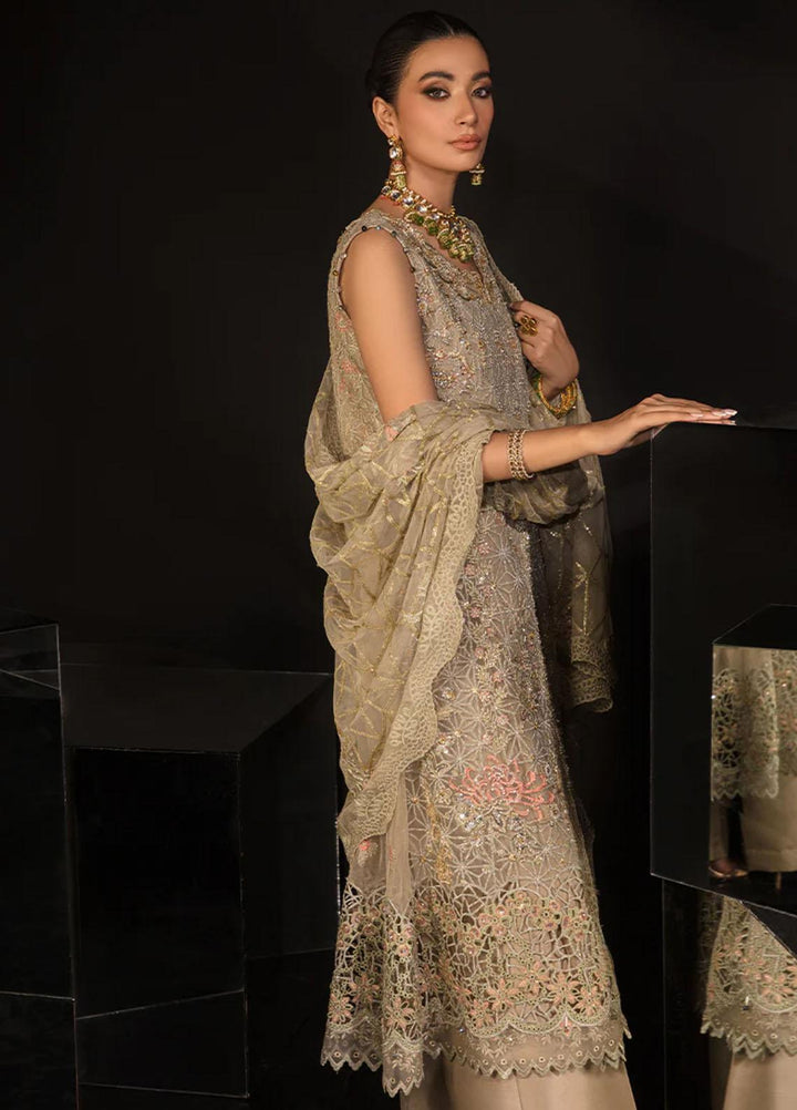 Chatoyer By Rang Rasiya Embroidered Net Suits Unstitched 4 Piece RR23CH D-04 Ana - Wedding Collection