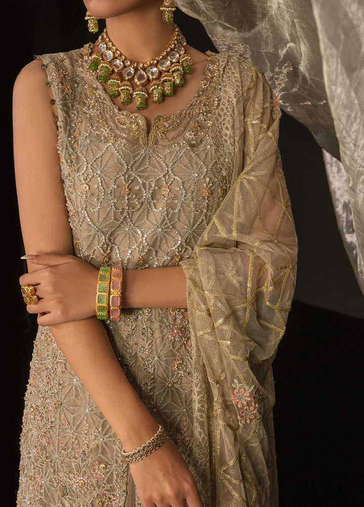 Chatoyer By Rang Rasiya Embroidered Net Suits Unstitched 4 Piece RR23CH D-04 Ana - Wedding Collection