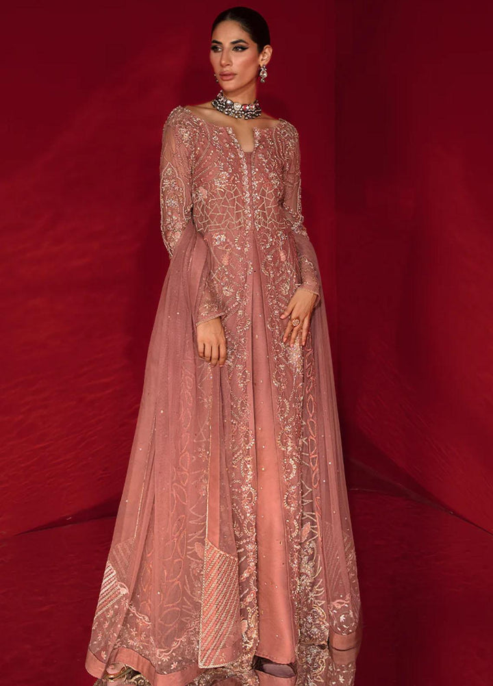 Chatoyer By Rang Rasiya Embroidered Net Suits Unstitched 4 Piece RR23CH D-07 Rosa - Wedding Collection