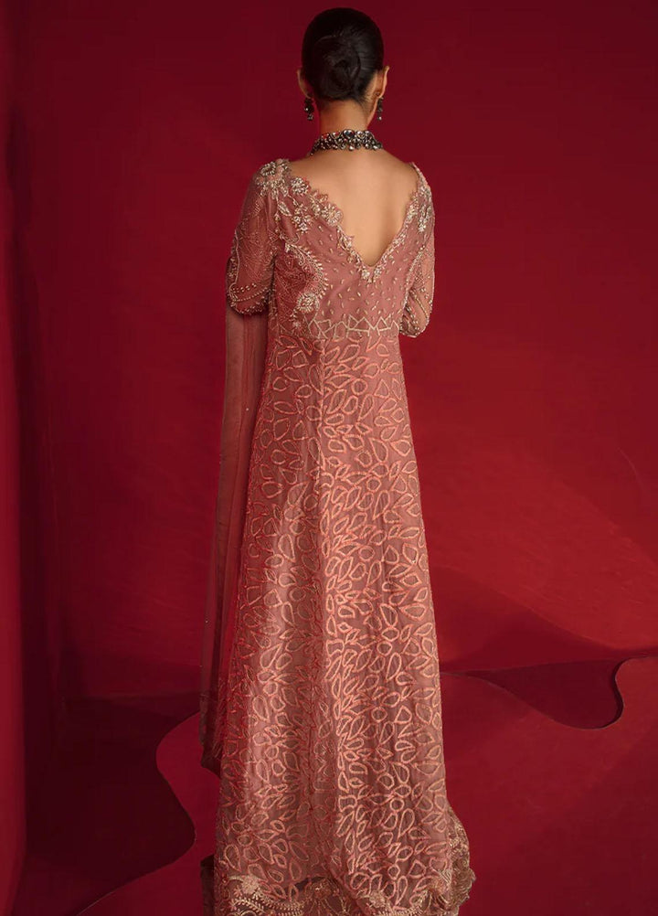 Chatoyer By Rang Rasiya Embroidered Net Suits Unstitched 4 Piece RR23CH D-07 Rosa - Wedding Collection