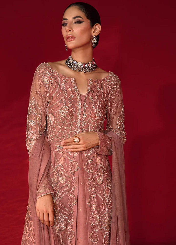 Chatoyer By Rang Rasiya Embroidered Net Suits Unstitched 4 Piece RR23CH D-07 Rosa - Wedding Collection