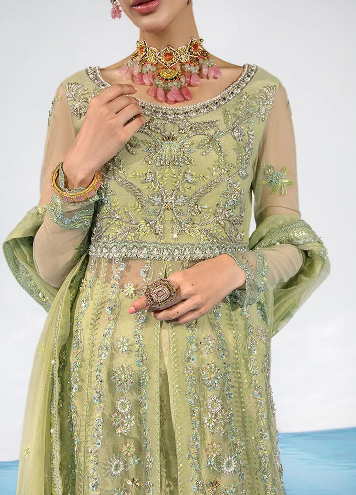 Chatoyer By Rang Rasiya Embroidered Net Suits Unstitched 4 Piece RR23CH D-08 Catalina - Wedding Collection