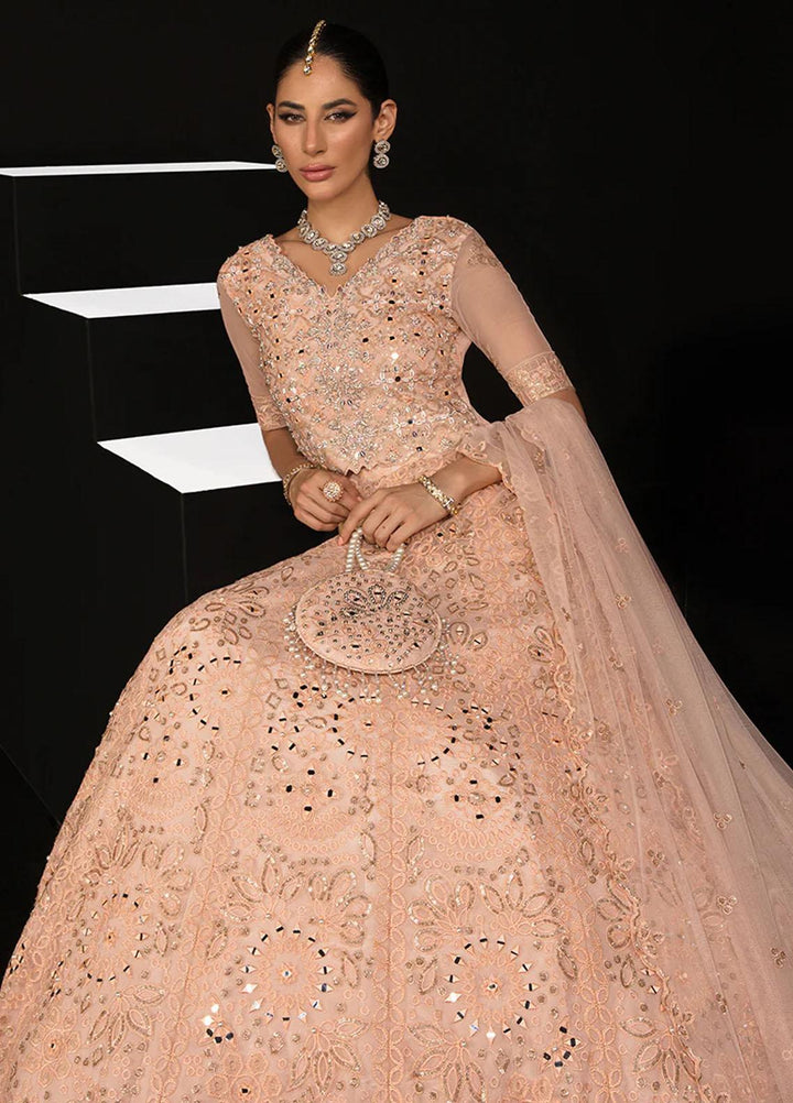 Chatoyer By Rang Rasiya Embroidered Net Suits Unstitched 4 Piece RR23CH D-09 Elena - Wedding Collection