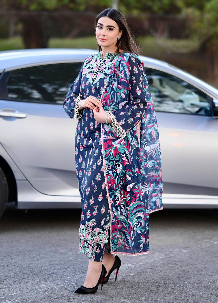 Mehr by Sahane Embroidered Lawn Suits Unstitched 3 Piece SNE24M CT-9006 Regal Glow - Spring Summer Collection