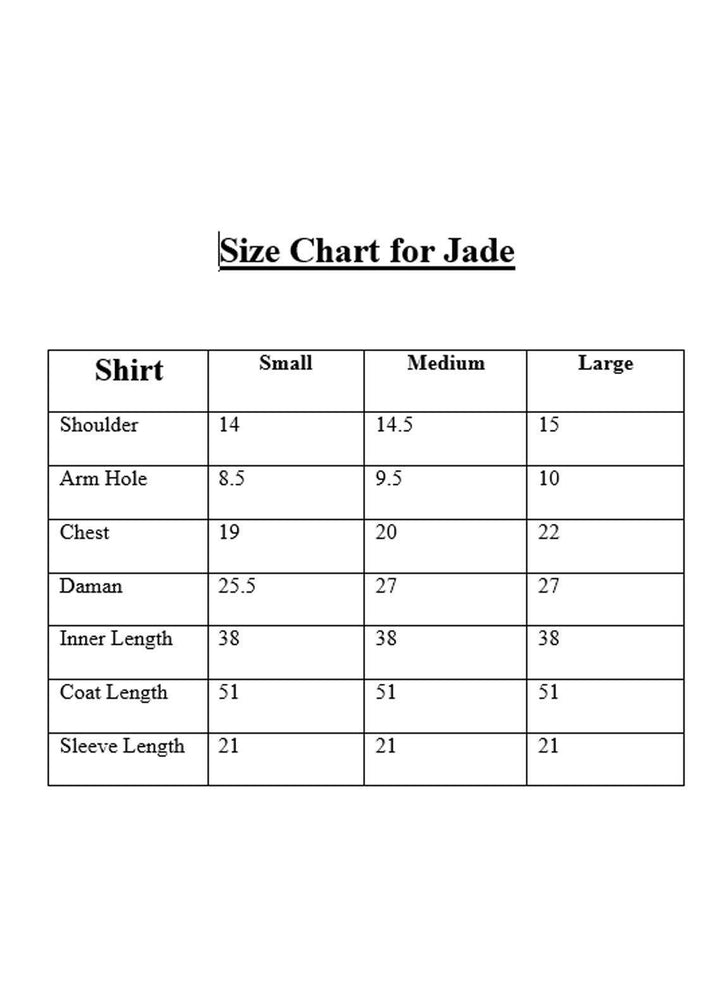 Cyanic Casual Pret  Organza 2 Piece Suit CYN22ZP Jade