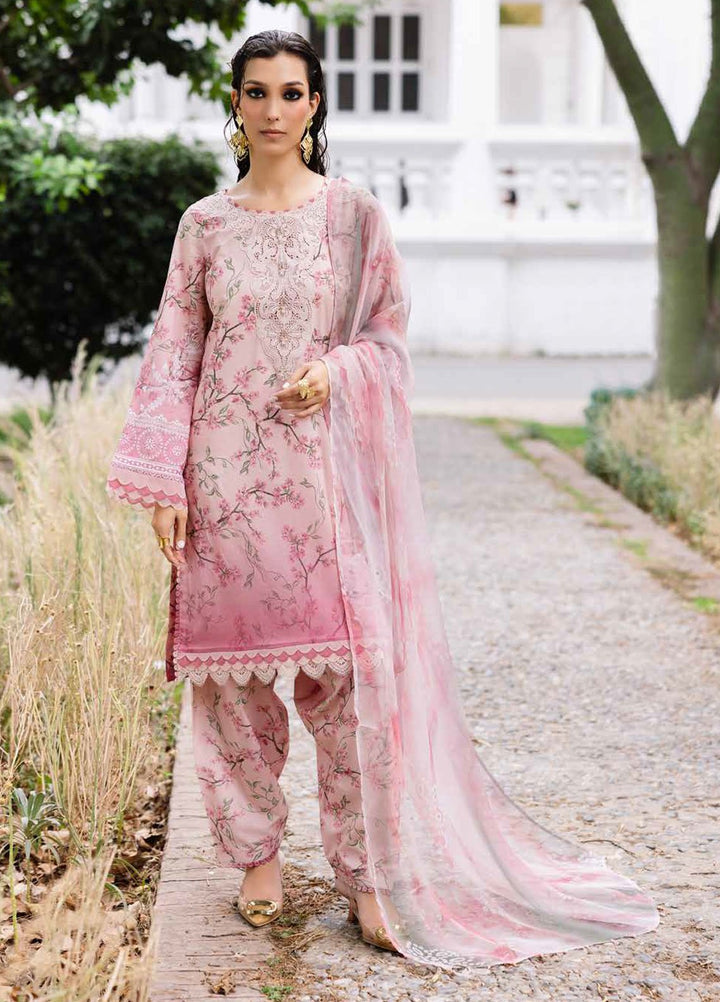 Daily Delights by Nureh Chikankari Lawn Suits Unstitched 3 Piece NU25DC DD-01 - Summer Collection