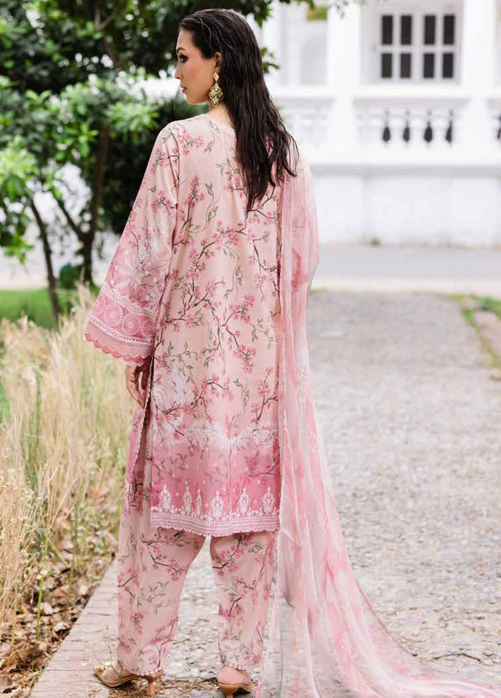 Daily Delights by Nureh Chikankari Lawn Suits Unstitched 3 Piece NU25DC DD-01 - Summer Collection
