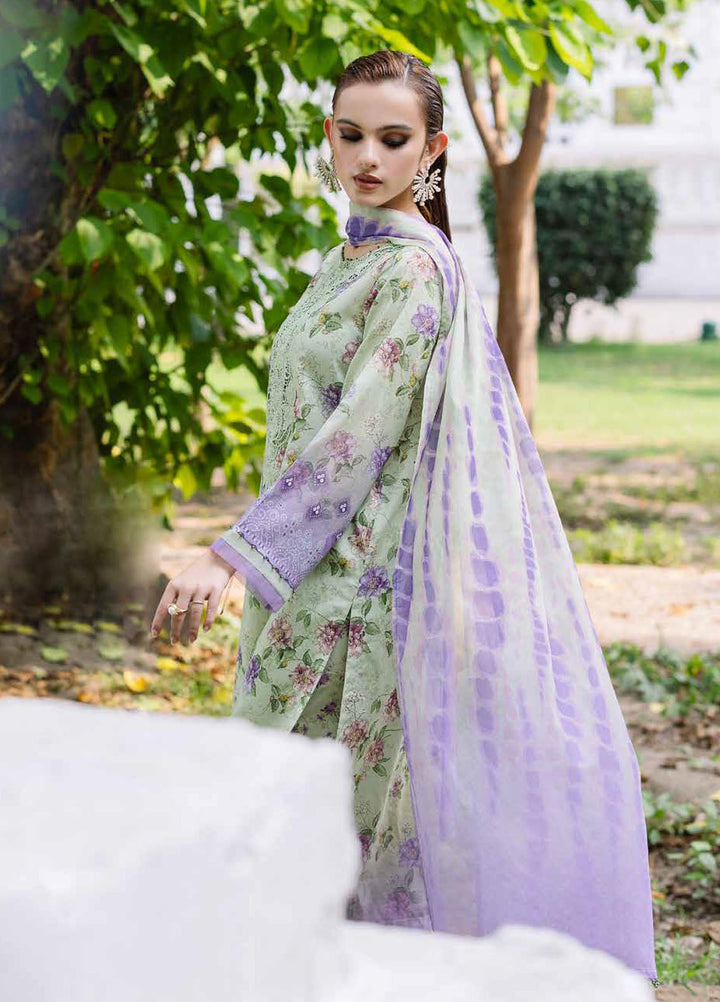 Daily Delights by Nureh Chikankari Lawn Suits Unstitched 3 Piece NU25DC DD-08 - Summer Collection
