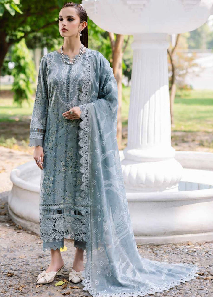 Daily Delights by Nureh Chikankari Lawn Suits Unstitched 3 Piece NU25DC DD-09 - Summer Collection