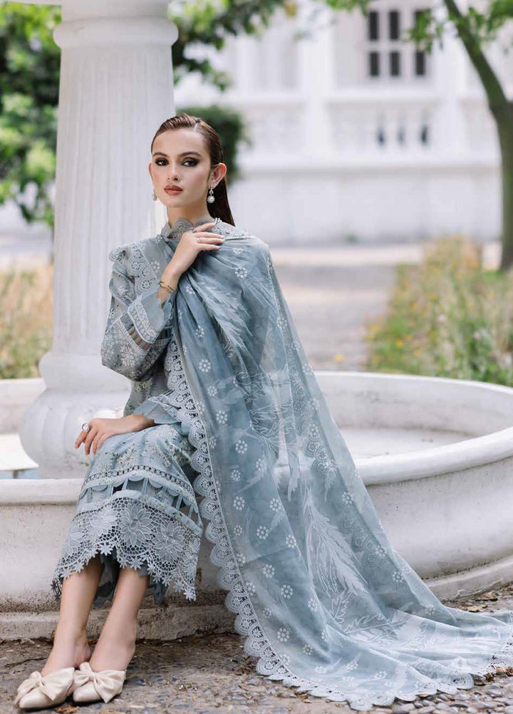 Daily Delights by Nureh Chikankari Lawn Suits Unstitched 3 Piece NU25DC DD-09 - Summer Collection