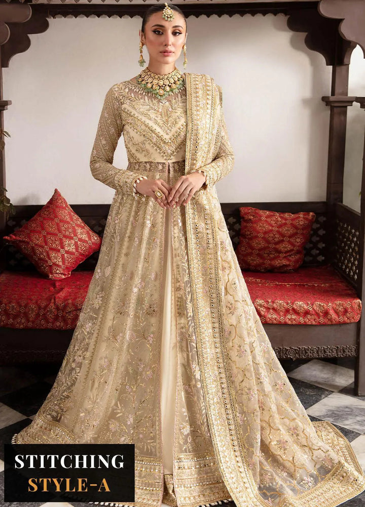 Dastaan By Imrozia Premium Pret Embroidered Net Suit 3 Piece IMP23DS IB-37 Anah