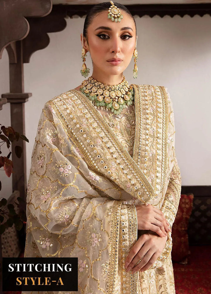 Dastaan By Imrozia Premium Pret Embroidered Net Suit 3 Piece IMP23DS IB-37 Anah