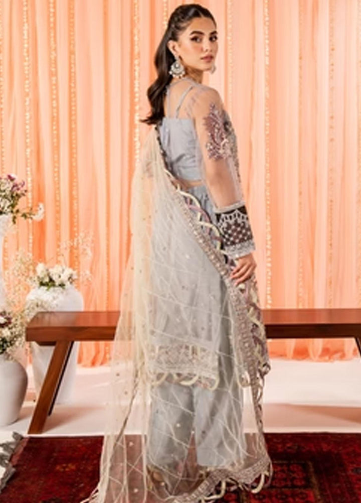 Dastaan By Neeshay Embroidered Net Suits Unstitched 3 Piece NSH23D Zaib - Festive Collection