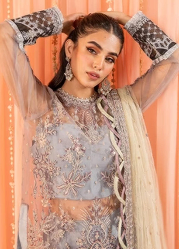 Dastaan By Neeshay Embroidered Net Suits Unstitched 3 Piece NSH23D Zaib - Festive Collection