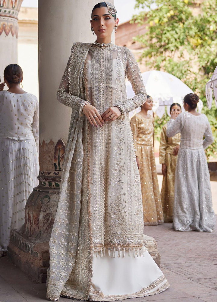 Dastangoi By Afrozeh Embroidered Organza Suits Unstitched 3 Piece AF23DG AWE-23-V1-02 Noori - Wedding Collection