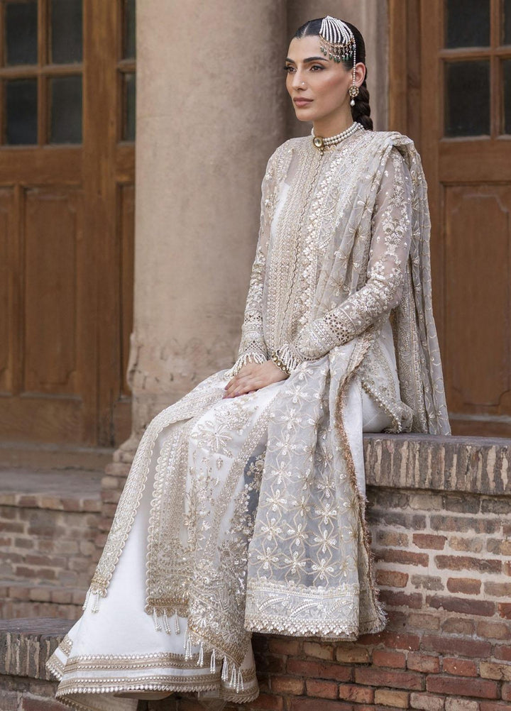 Dastangoi By Afrozeh Embroidered Organza Suits Unstitched 3 Piece AF23DG AWE-23-V1-02 Noori - Wedding Collection