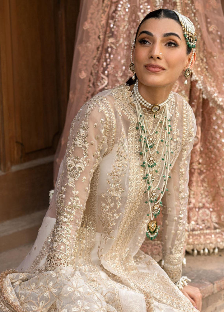 Dastangoi By Afrozeh Embroidered Organza Suits Unstitched 3 Piece AF23DG AWE-23-V1-02 Noori - Wedding Collection