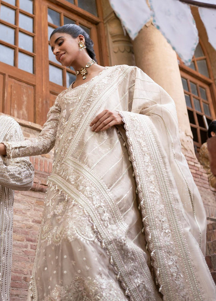 Dastangoi By Afrozeh Embroidered Tissue Suits Unstitched 3 Piece AF23DG AWE-23-V1-04 Ulfat - Wedding Collection