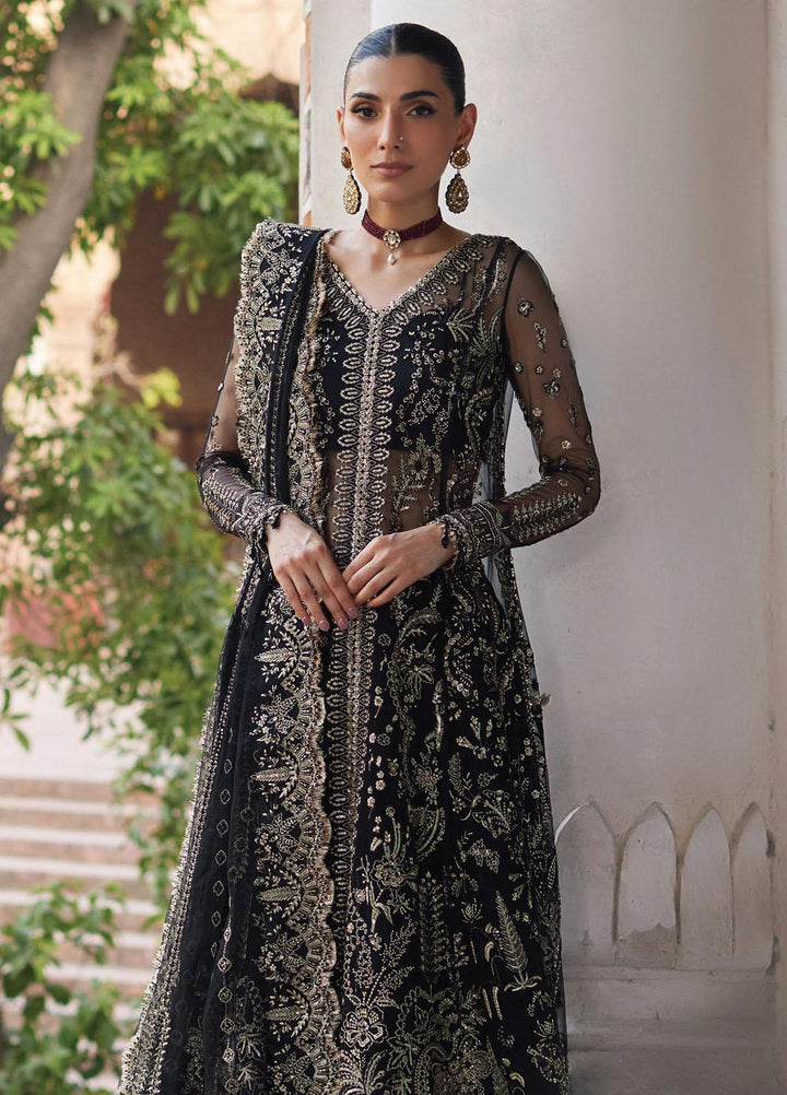 Dastangoi By Afrozeh Embroidered  Suits Unstitched 3 Piece AF23DG AWE-23-V1-06 Nafeesa - Wedding Collection