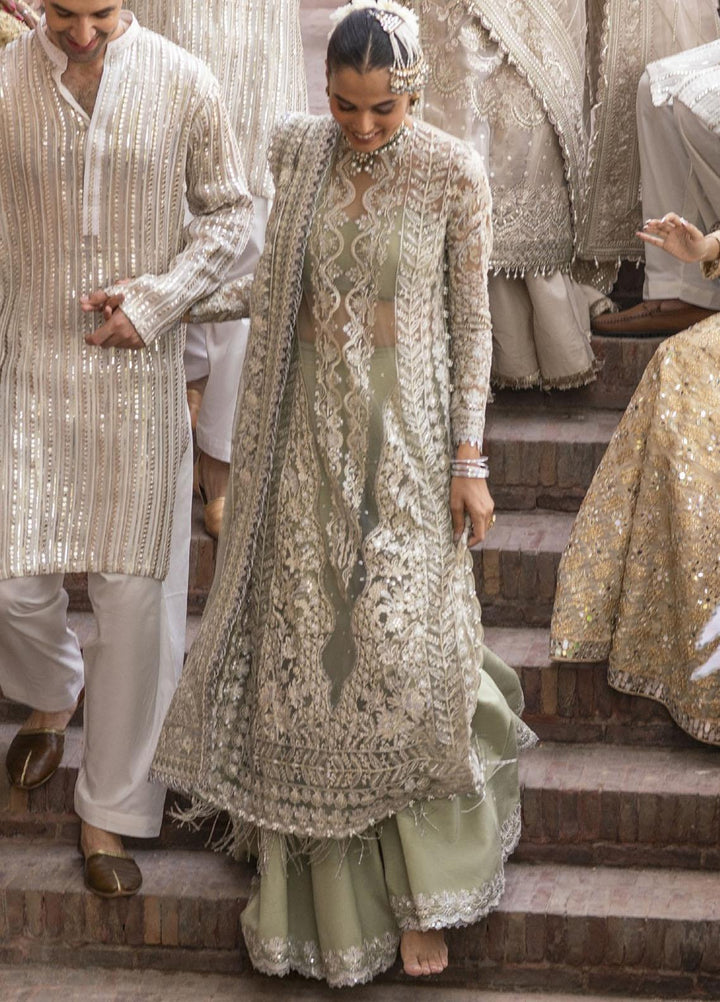 Dastangoi By Afrozeh Embroidered Net Suits Unstitched 3 Piece AF23DG AWE-23-V1-08 Nigar - Wedding Collection