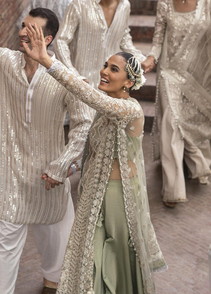 Dastangoi By Afrozeh Embroidered Net Suits Unstitched 3 Piece AF23DG AWE-23-V1-08 Nigar - Wedding Collection