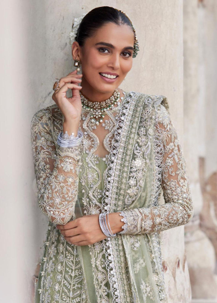 Dastangoi By Afrozeh Embroidered Net Suits Unstitched 3 Piece AF23DG AWE-23-V1-08 Nigar - Wedding Collection