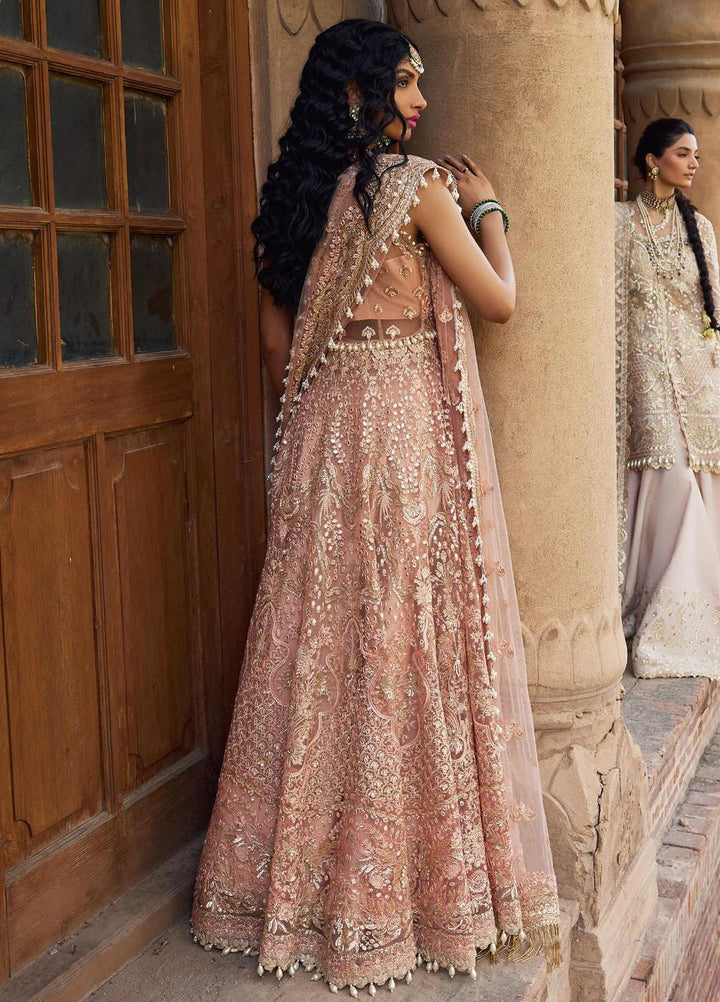 Dastangoi By Afrozeh Embroidered Net Suits Unstitched 3 Piece AF23DG AWE-23-V1-10 Madhur - Wedding Collection