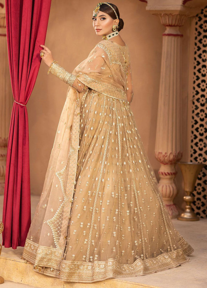 Dastgah By Neeshay Embroidered Net Suits Unstitched 3 Piece NSH24DG Noor - Festive Collection