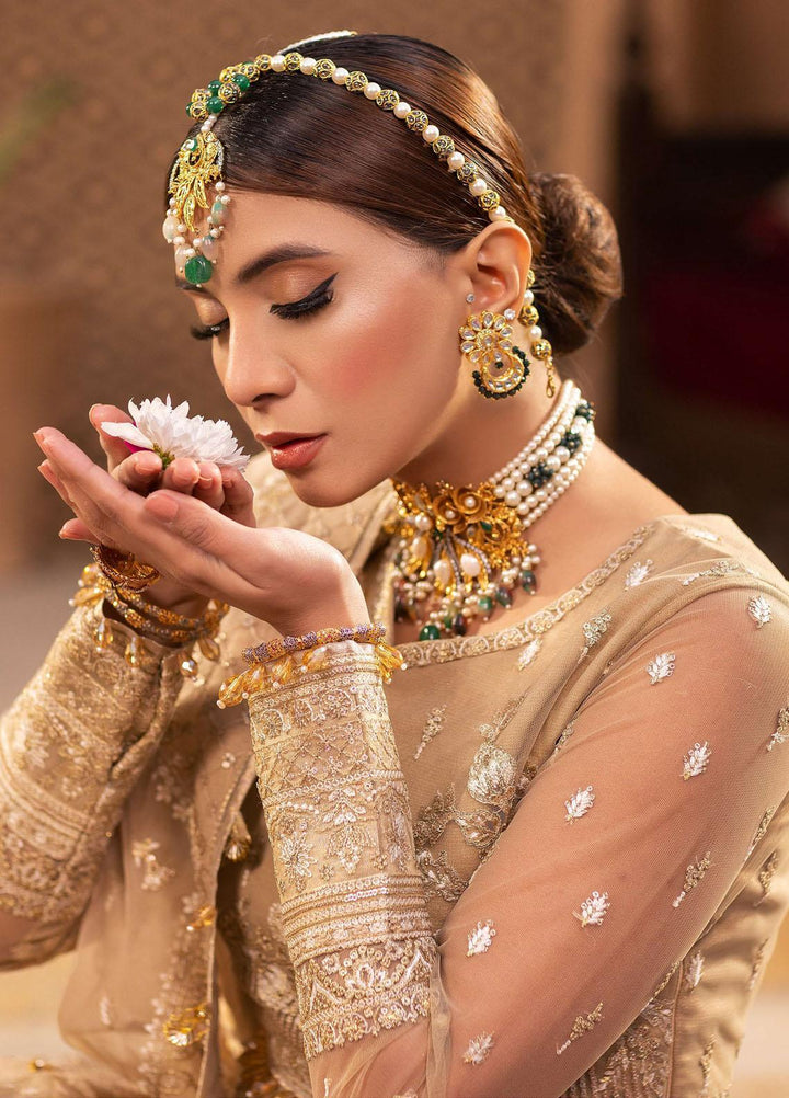 Dastgah By Neeshay Embroidered Net Suits Unstitched 3 Piece NSH24DG Noor - Festive Collection