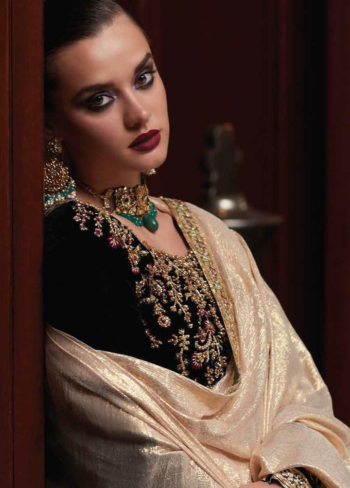 Destiny by Mushq Embroidered Velvet Suits Unstitched 3 Piece MQ22D MV22-06 Euphoria - Luxury Collection