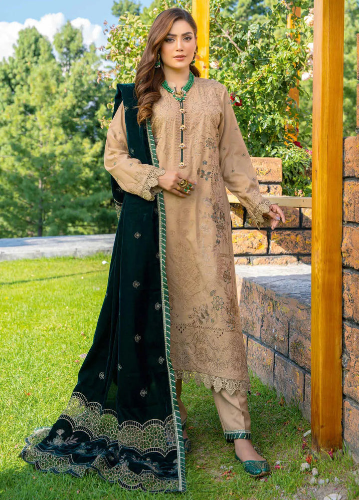 Destiny By Riaz Arts Embroidered Wool Suit Unstitched 3 Piece RA24DU D-03 - Winter Collection