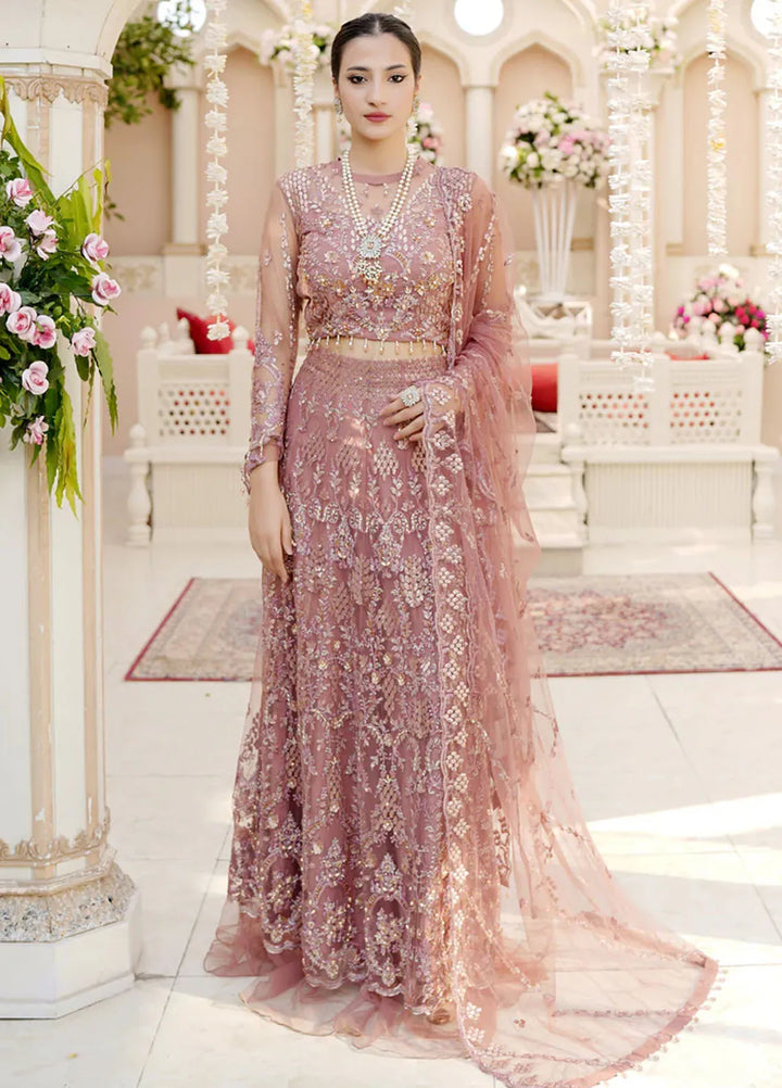 Dhanak By Ricamo Embroidered Net Suit Unstitched 4 Piece RICDH Sharjeena - Festive Collection