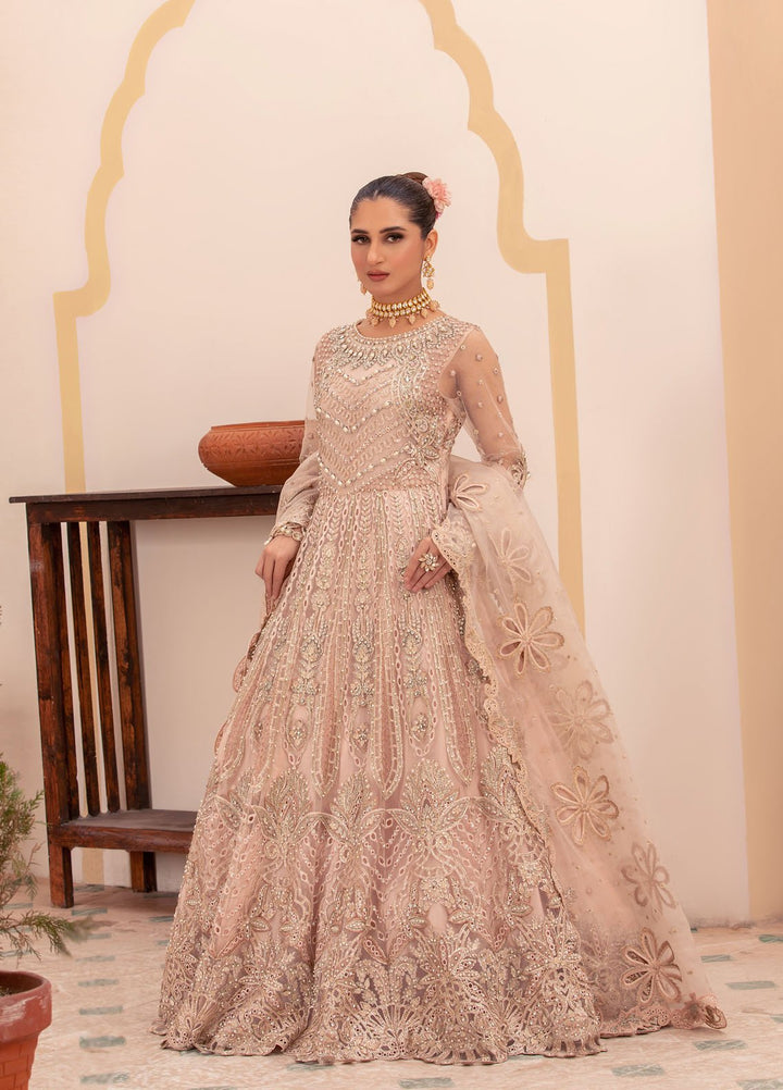 Diara Couture Pret Embroidered Sharara Chiffon 3 Piece Suit DF-35 Light Pink