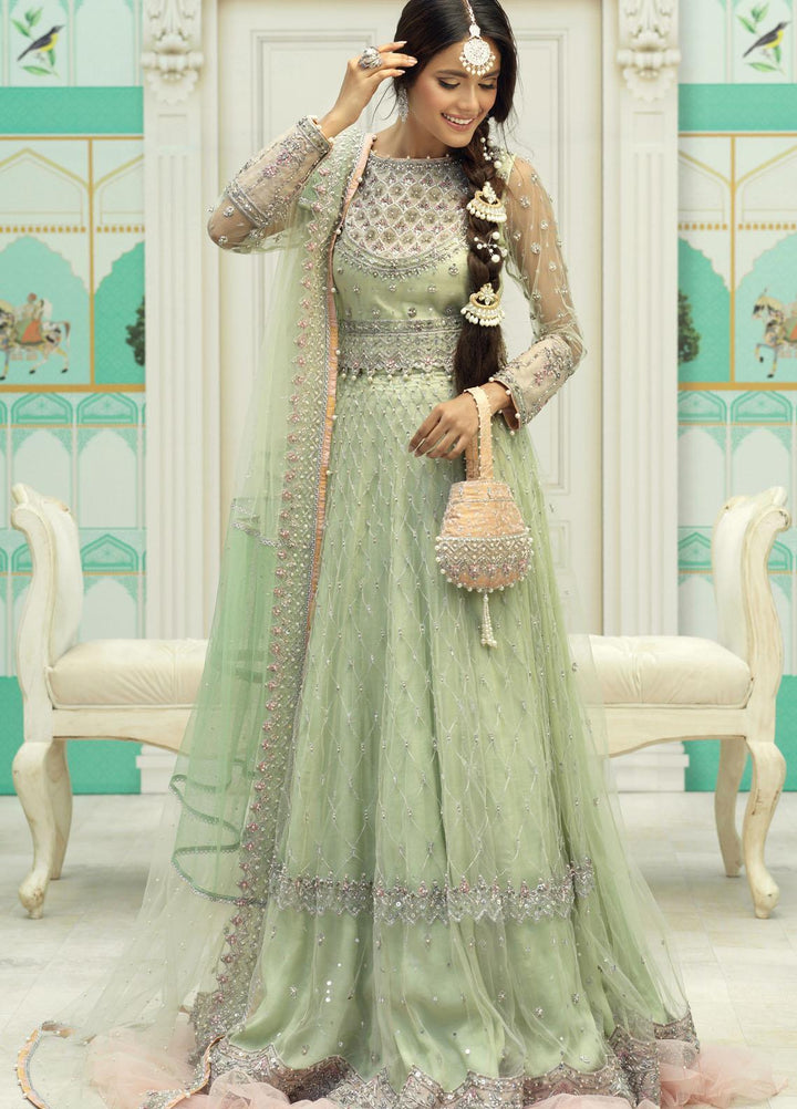 Zaaviay Luxury Pret Embroidered Net 3 Piece Dress NAAZ