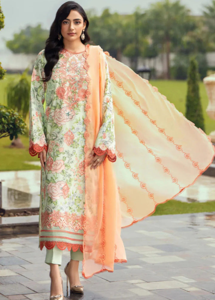 Diva By Humdum Embroidered Karandi Suit Unstitched 3 Piece HD24DK D-3 - Winter Collection