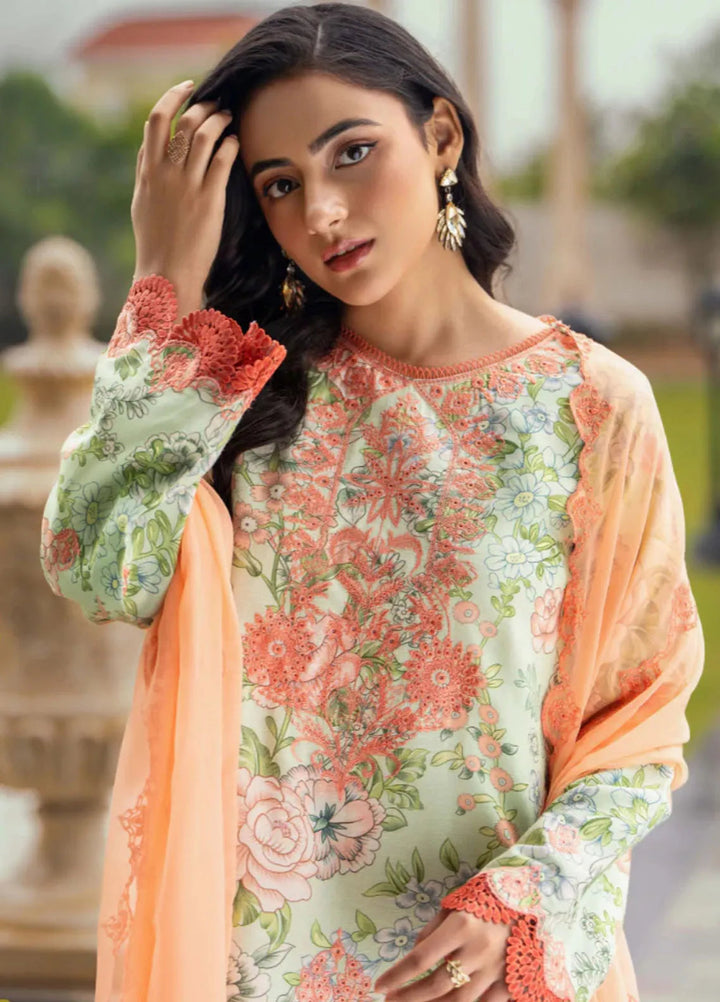 Diva By Humdum Embroidered Karandi Suit Unstitched 3 Piece HD24DK D-3 - Winter Collection